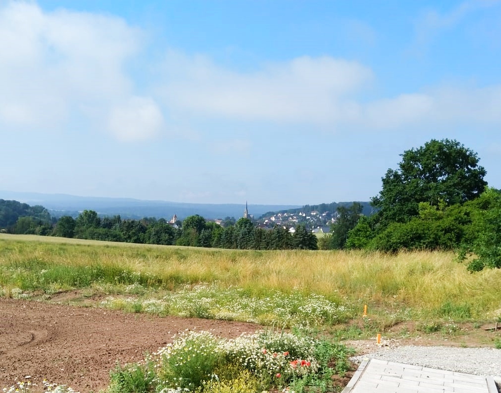Grundstücke in Lichtenfels: Baugrundstücke kaufen