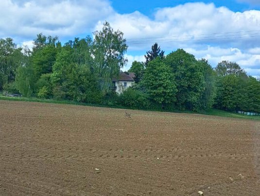 Baugebiet Ludwigschorgast