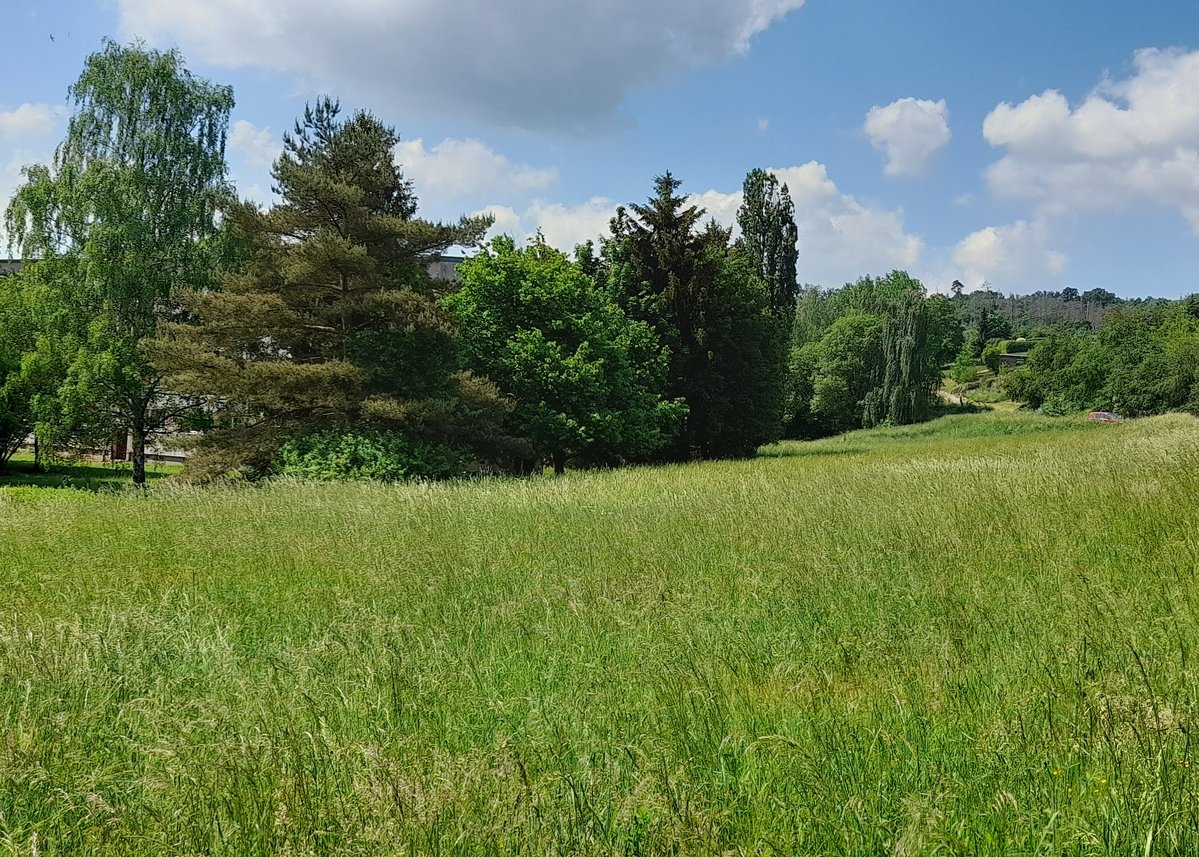 Grundstück kaufen Crossen
