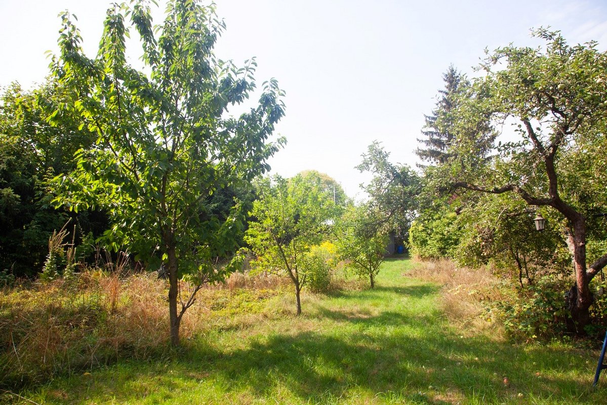 Grundstück kaufen in Zeitz