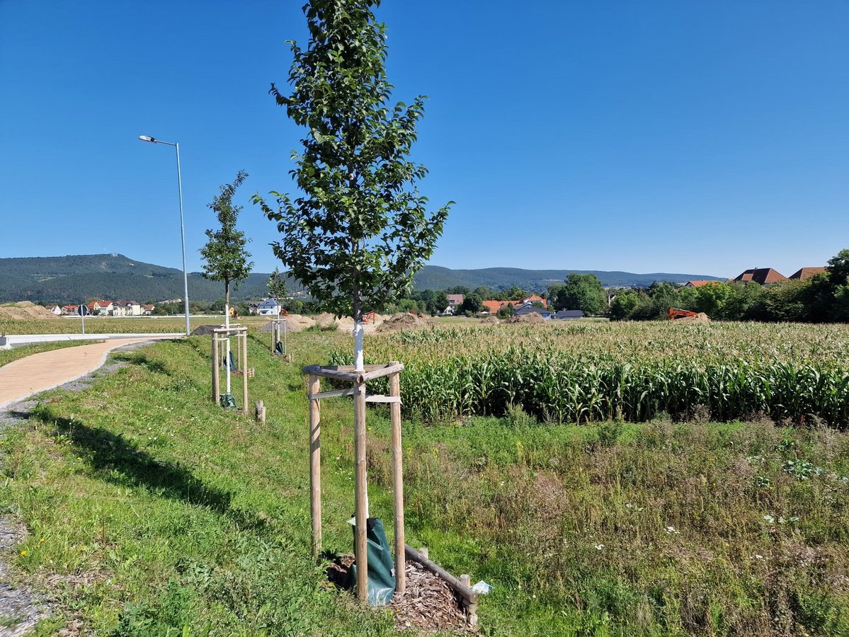 Baugebiet Graba II - Grundstücke Saalfeld