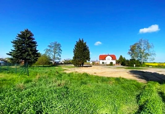 Eine ländliche Szenerie mit einer grünen Wiese im Vordergrund und einem freigeräumten, sandigen Grundstück in der Mitte. Im Hintergrund steht ein weißes Haus mit rotem Dach, umgeben von Bäumen und einer blauen Himmel mit wenigen Wolken.