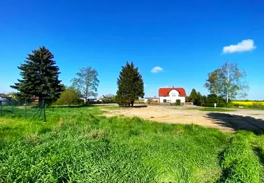 Eine ländliche Szenerie mit einer grünen Wiese im Vordergrund und einem freigeräumten, sandigen Grundstück in der Mitte. Im Hintergrund steht ein weißes Haus mit rotem Dach, umgeben von Bäumen und einer blauen Himmel mit wenigen Wolken.