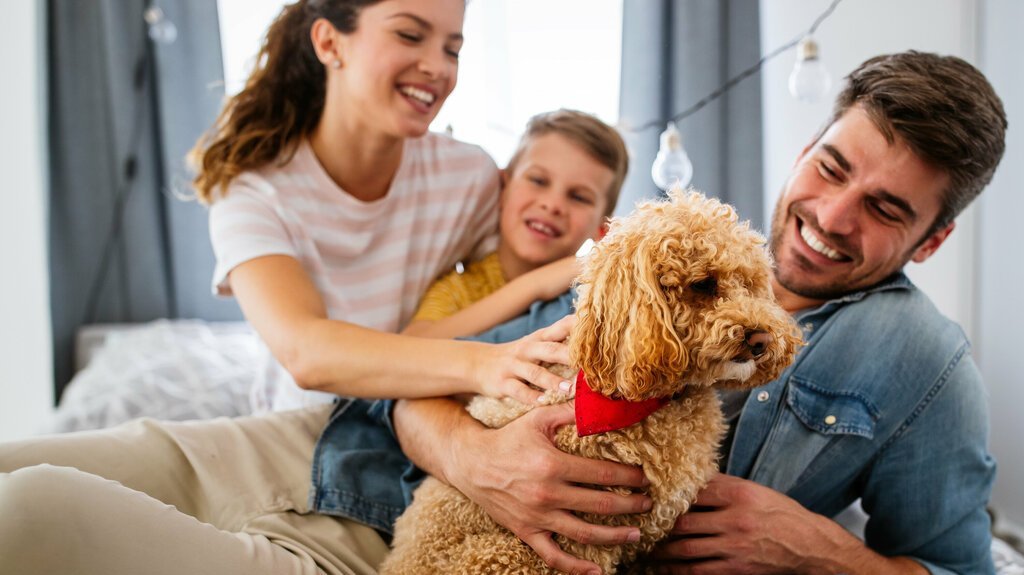 Fröhliche Familie spielt gemeinsam mit Hund im Wohnzimmer und zeigt das harmonische Zusammenleben in einem familienfreundlichen Bungalow mit offenem Grundriss